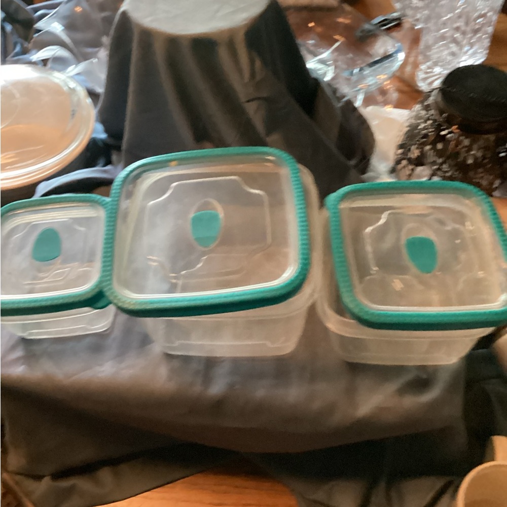 Plastic food storage containers